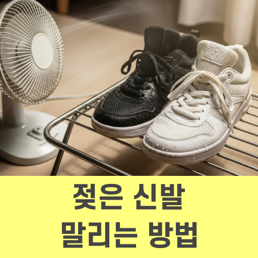젖은 신발 말리는 방법