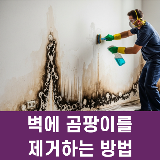 벽에 곰팡이를 제거하는 방법