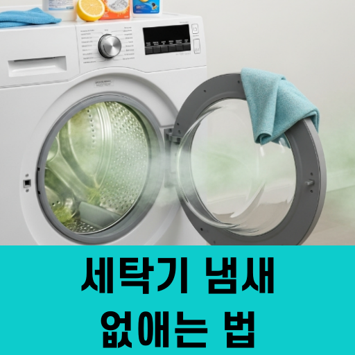 세탁기 냄새 없애는 법