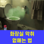 화장실 악취 없애는 법