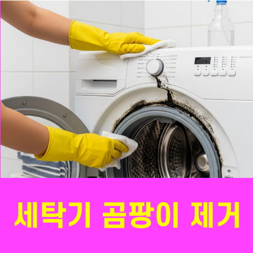 세탁기 곰팡이 제거