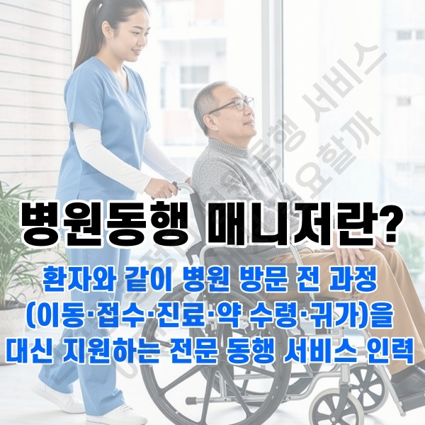 신정동 병원동행 서비스