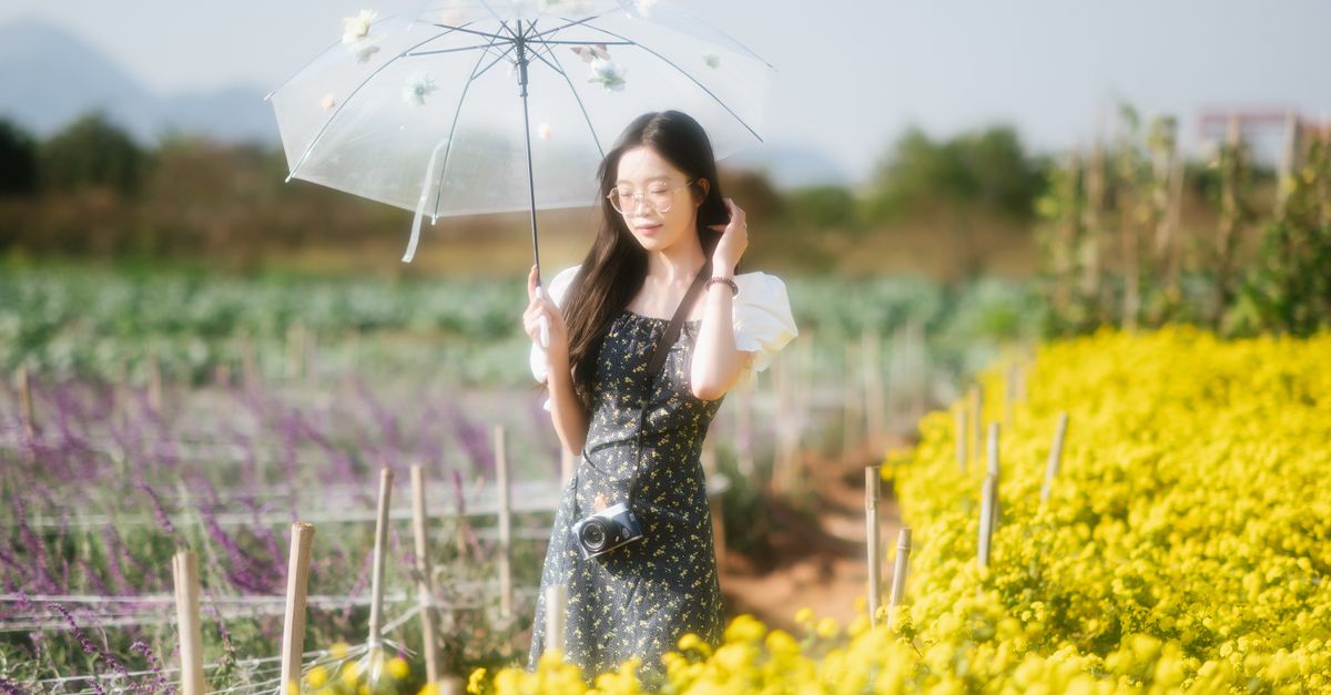 우산에서 곰팡이가 번지는 구간, 비 온 뒤 바로 말려도 안 끝나는 이유와 말림 방식 비교